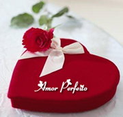 /amor_perfeito_