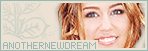 /anothernewdream