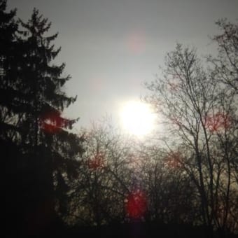 Foto de @aurinko