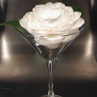 Foto de @bethemorbini