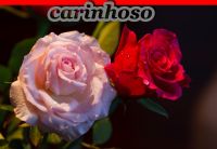 /carinhoso