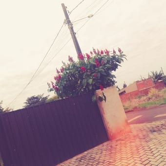 Foto de @demillyoliveiradeara