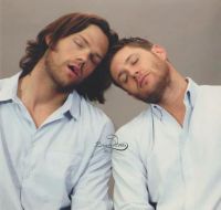 /dnzwinchester