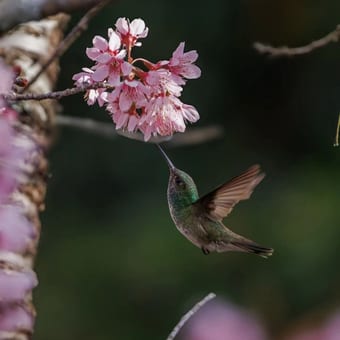 Foto de @emovere