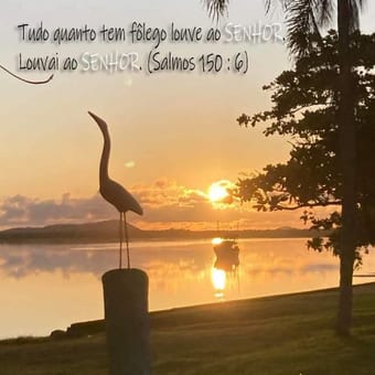 Foto de @gutolopes