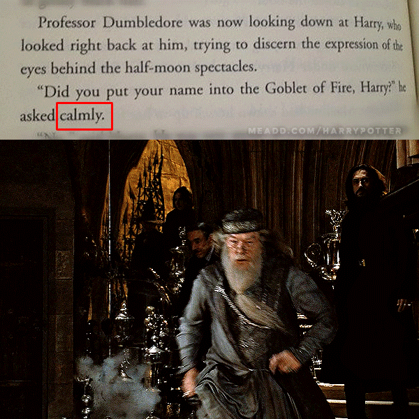 Foto de @harrypotter