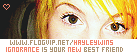 /hayleywins