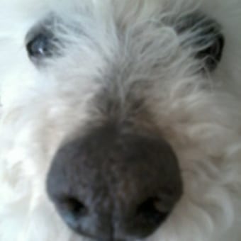 Foto de @joaninha