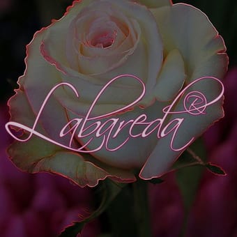 Foto de @labareda