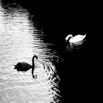 Foto de @link_