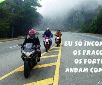 Foto de @lone_wolf