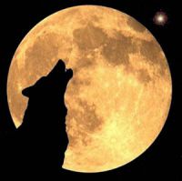 /lone_wolf