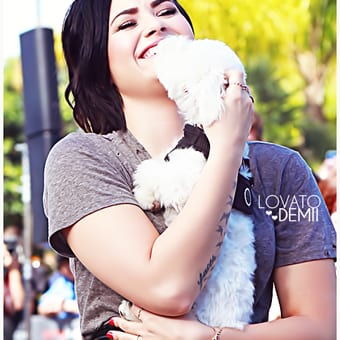 Foto de @lovatodemii