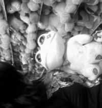 /lovetrustlie