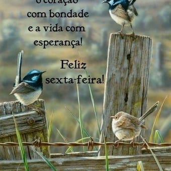 Foto de @mardesonhos