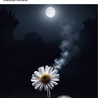 Foto de @mardesonhos