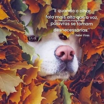 Foto de @mardesonhos