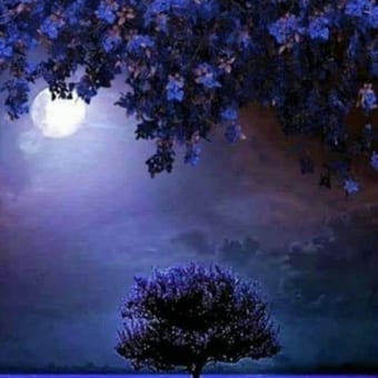 Foto de @mardesonhos