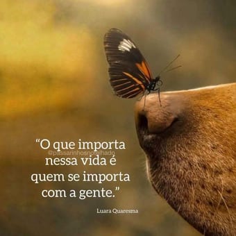 Foto de @mardesonhos