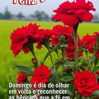 Foto de @mardesonhos