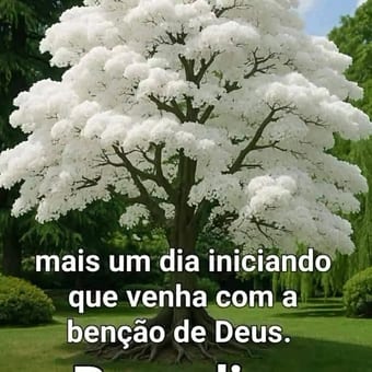Foto de @mardesonhos