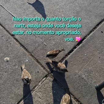 Foto de @memori