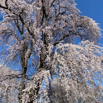 Foto de @nagano