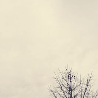 Foto de @para_voce