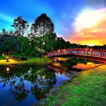 Foto de @paraiso_tropical