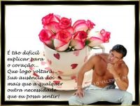 /passarodefogo
