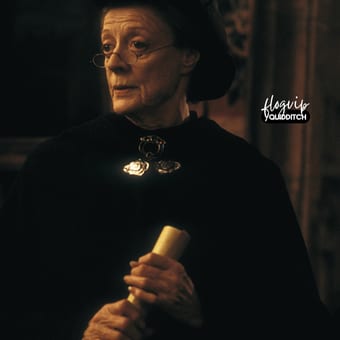Foto de @quidditch