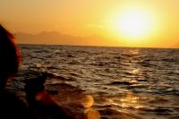 /rainhadosol