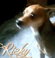 /ricky
