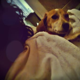 Foto de @saw_