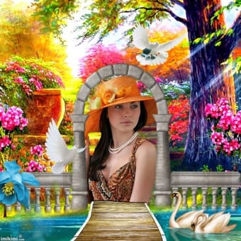 Foto de @sonho_por_sonho