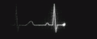 /theprettyreckless13