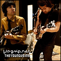 /theyoungveins