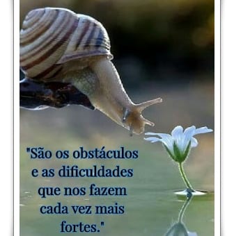 Foto de @tonn