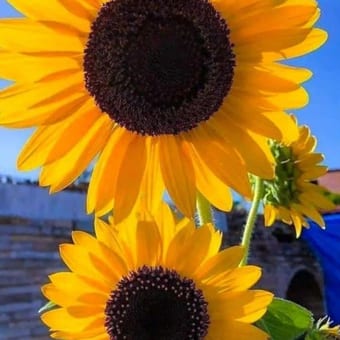 Foto de @ultimoromantico