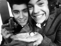 /zarrystalik